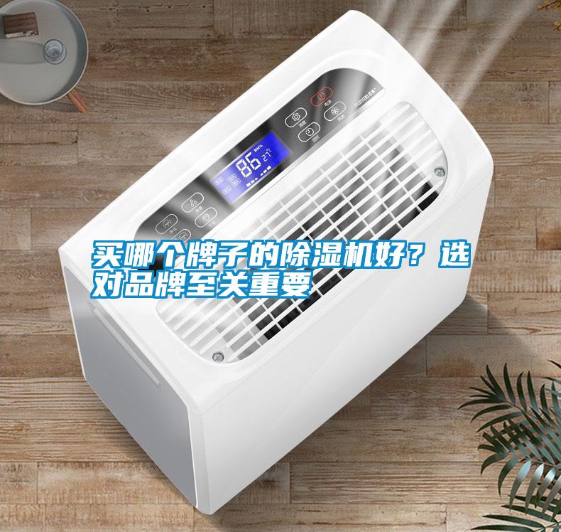 買哪個牌子的除濕機好？選對品牌至關重要