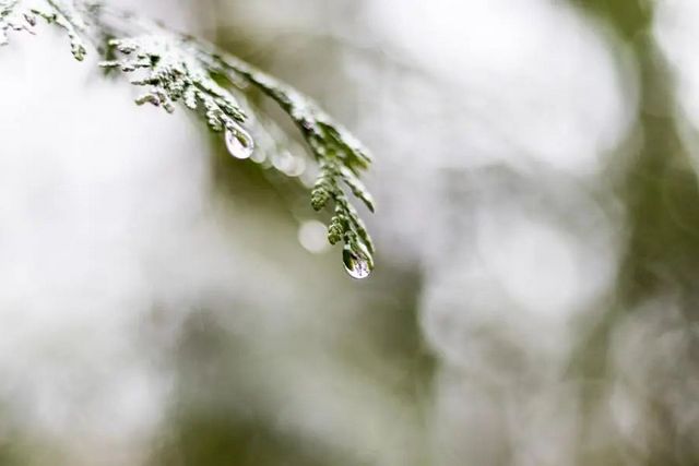 空氣濕度大帶來的危害有哪些，你知道嗎？