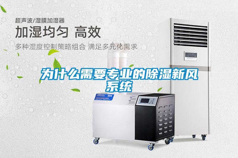 為什么需要專(zhuān)業(yè)的除濕新風(fēng)系統(tǒng)