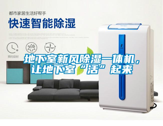 地下室新風除濕一體機，讓地下室“活”起來