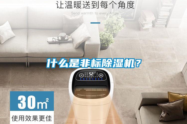 什么是非標除濕機？