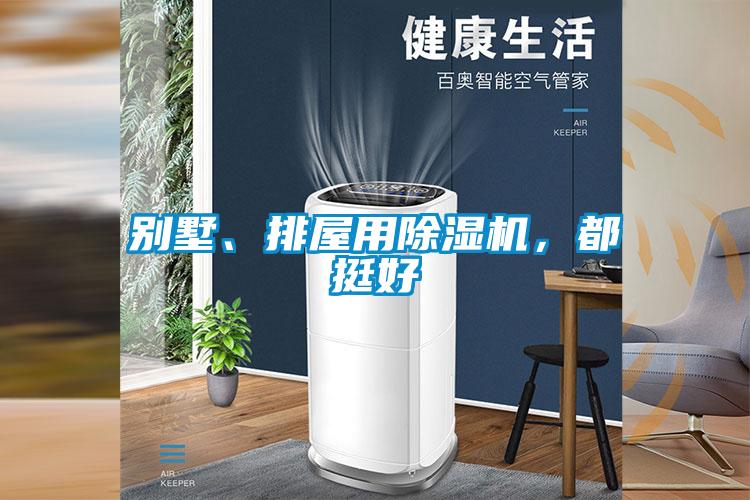 別墅、排屋用除濕機(jī)，都挺好