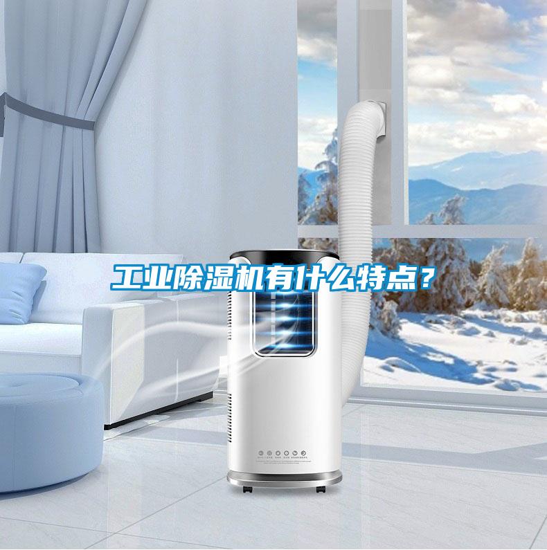 工業(yè)除濕機(jī)有什么特點(diǎn)？
