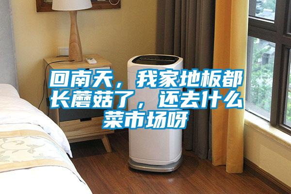 回南天，我家地板都長蘑菇了，還去什么菜市場呀