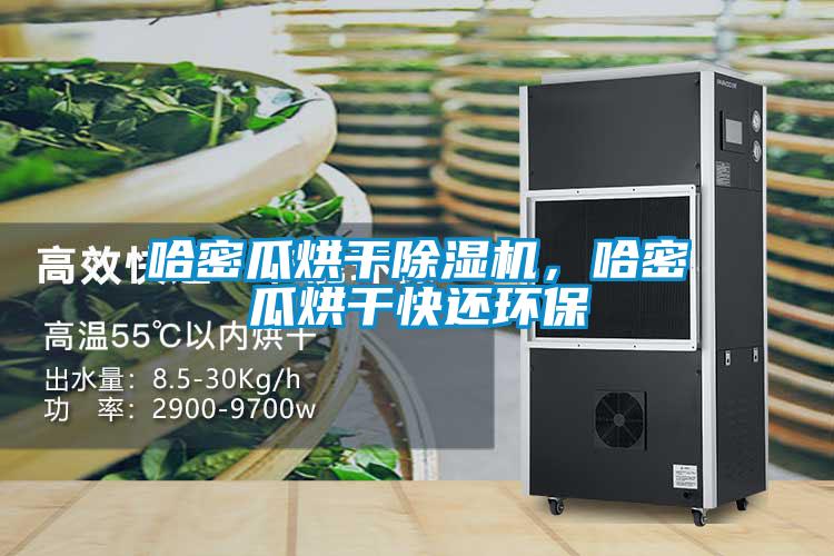 哈密瓜烘干除濕機,哈密瓜烘干快還環保