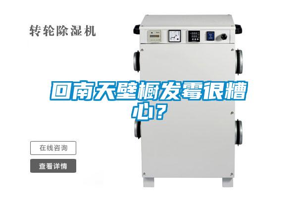 回南天壁櫥發霉很糟心？