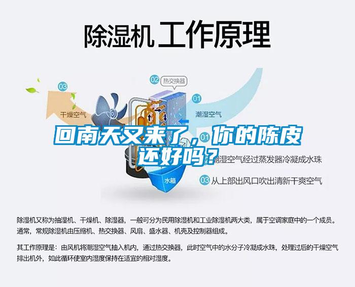回南天又來(lái)了，你的陳皮還好嗎？