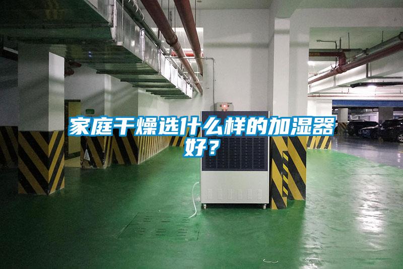 家庭干燥選什么樣的加濕器好？