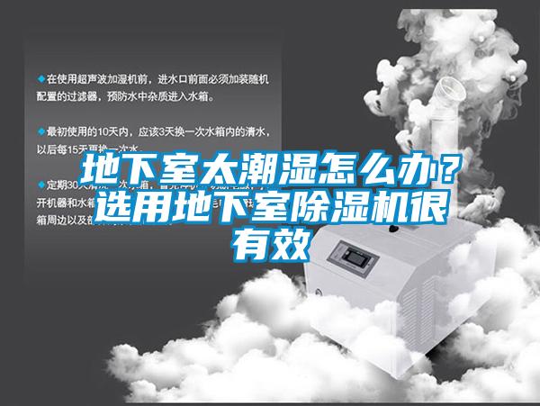 地下室太潮濕怎么辦？選用地下室除濕機(jī)很有效
