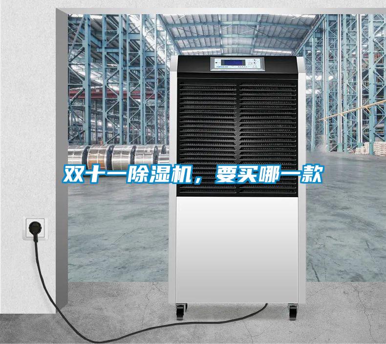 雙十一除濕機，要買哪一款