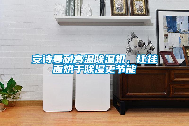 安詩(shī)曼耐高溫除濕機(jī),讓掛面烘干除濕更節(jié)能