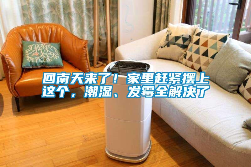 回南天來了!家里趕緊擺上這個,潮濕、發(fā)霉全解決了