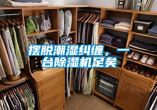 擺脫潮濕糾纏，一臺除濕機足矣
