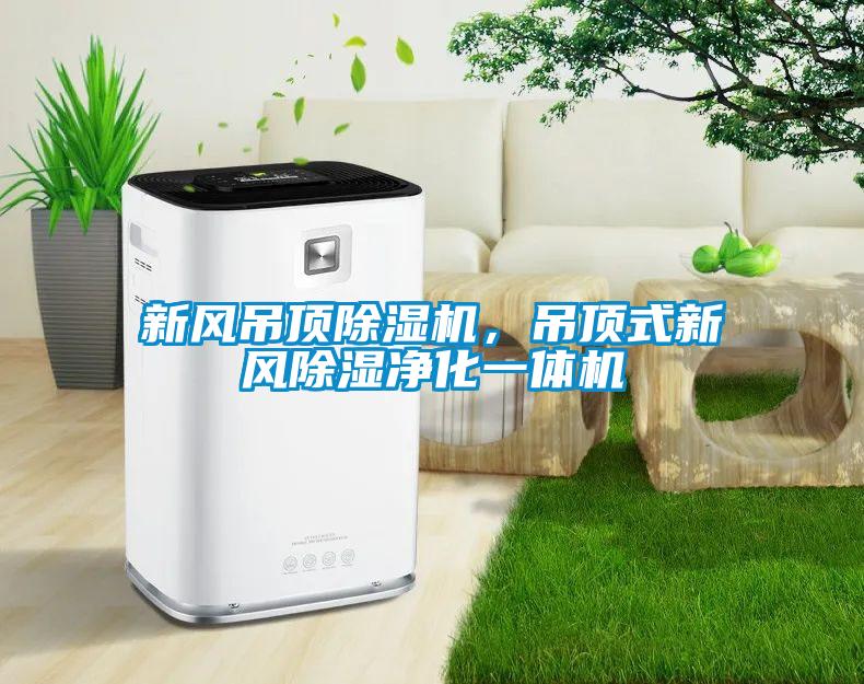 新風(fēng)吊頂除濕機(jī)，吊頂式新風(fēng)除濕凈化一體機(jī)