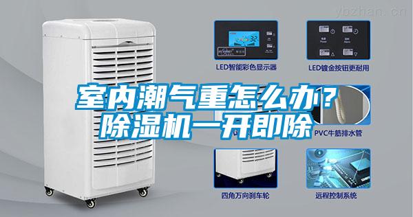 室內(nèi)潮氣重怎么辦？除濕機(jī)一開(kāi)即除