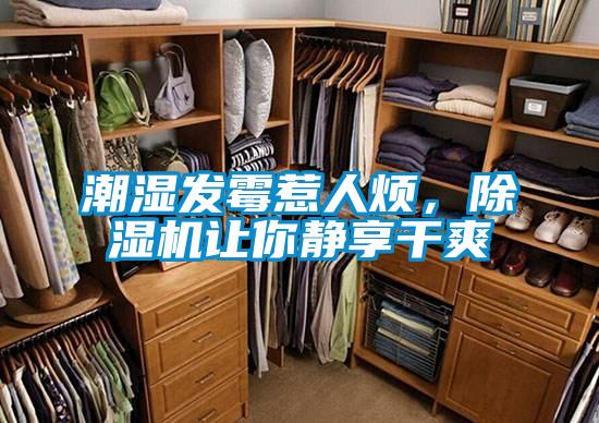 潮濕發(fā)霉惹人煩,除濕機讓你靜享干爽