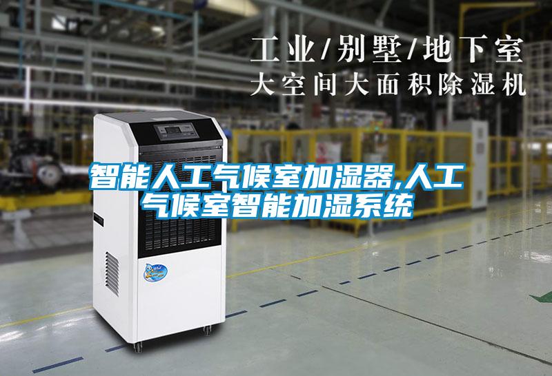 智能人工氣候室加濕器,人工氣候室智能加濕系統