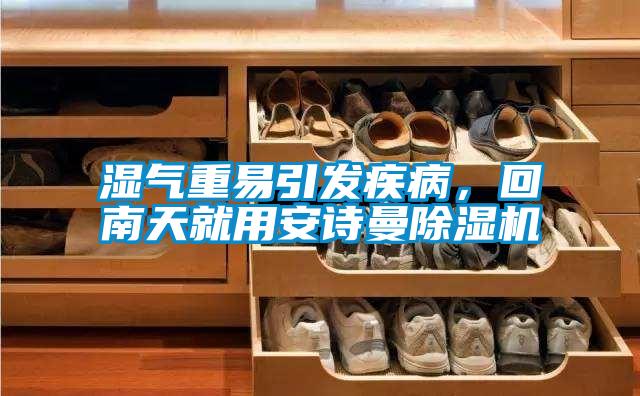 濕氣重易引發(fā)疾病，回南天就用安詩(shī)曼除濕機(jī)