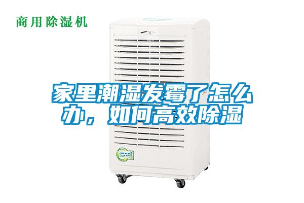 家里潮濕發(fā)霉了怎么辦，如何高效除濕