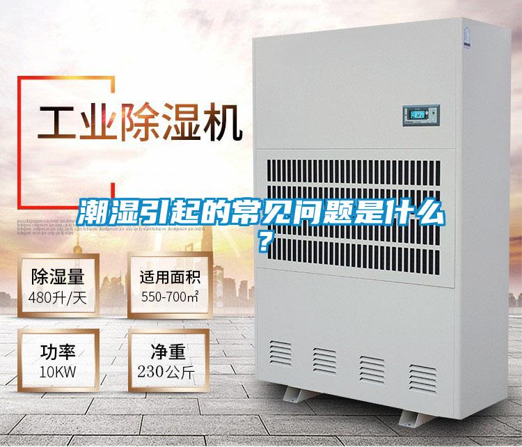 潮濕引起的常見問題是什么?