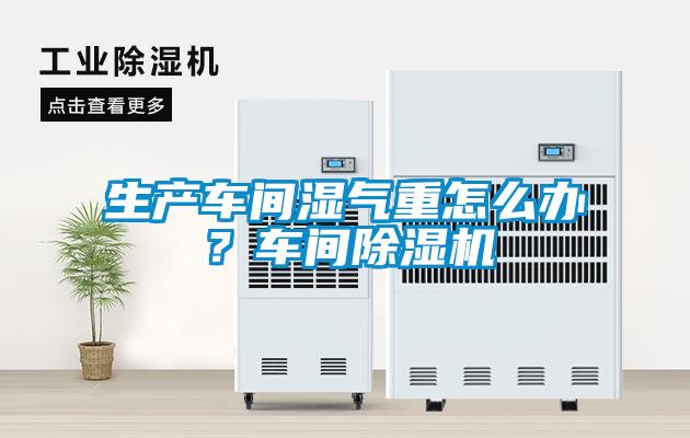 生產(chǎn)車間濕氣重怎么辦？車間除濕機(jī)