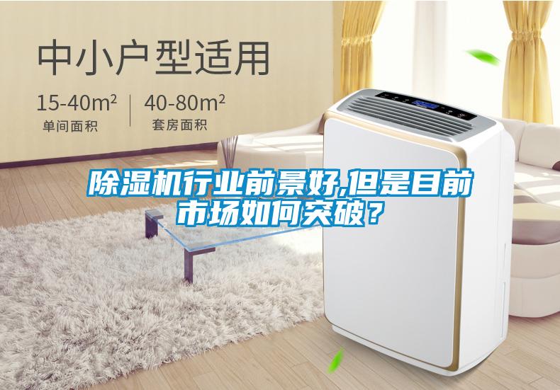 除濕機行業(yè)前景好,但是目前市場如何突破?