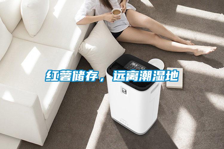 紅薯儲存，遠離潮濕地