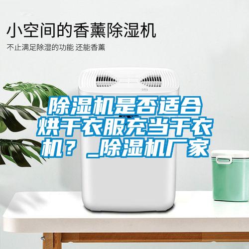 除濕機是否適合烘干衣服充當干衣機？_除濕機廠家