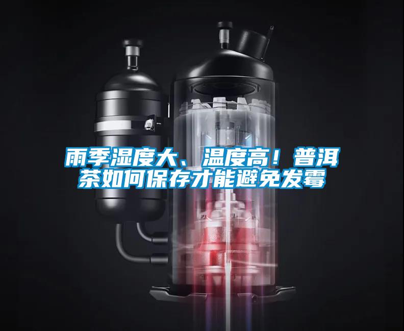 雨季濕度大、溫度高!普洱茶如何保存才能避免發霉