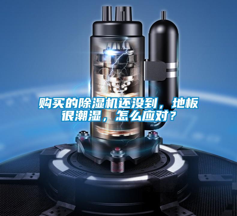 購買的除濕機還沒到，地板很潮濕，怎么應對？