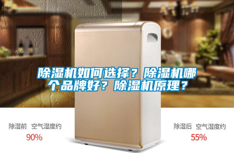 除濕機如何選擇？除濕機哪個品牌好？除濕機原理？