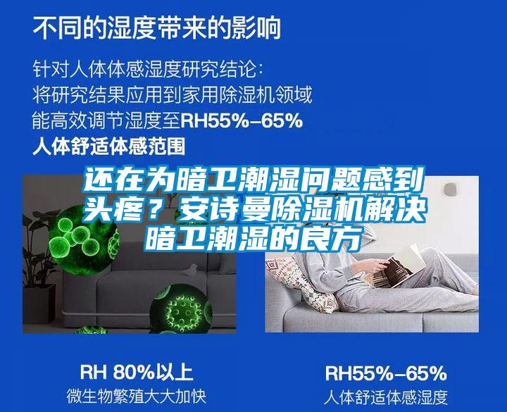 還在為暗衛(wèi)潮濕問題感到頭疼？安詩曼除濕機解決暗衛(wèi)潮濕的良方