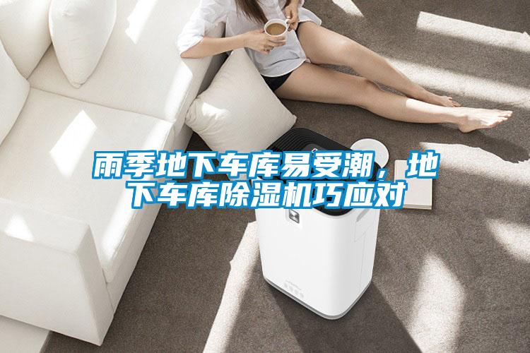 雨季地下車庫易受潮，地下車庫除濕機(jī)巧應(yīng)對
