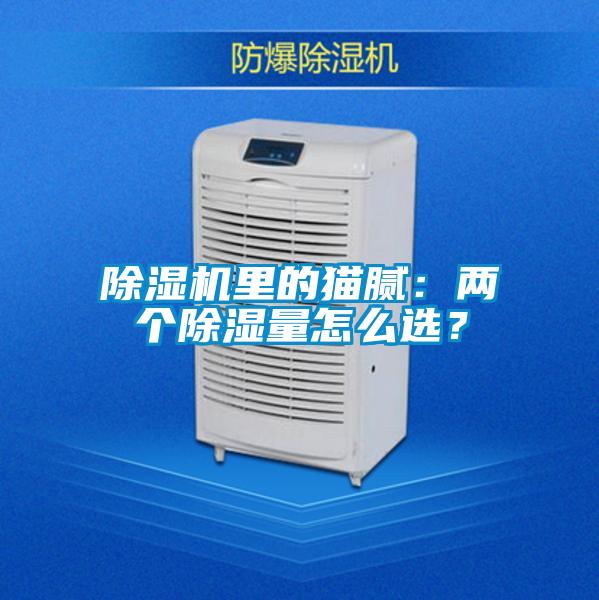 除濕機(jī)里的貓膩:兩個(gè)除濕量怎么選?