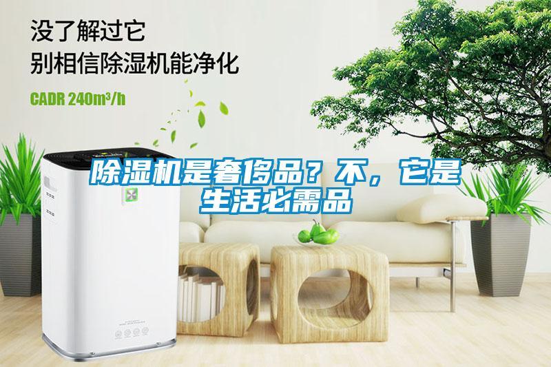 除濕機(jī)是奢侈品？不，它是生活必需品