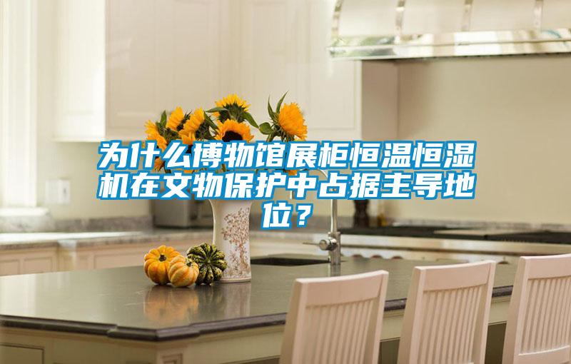 為什么博物館展柜恒溫恒濕機(jī)在文物保護(hù)中占據(jù)主導(dǎo)地位?