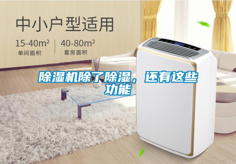 除濕機(jī)除了除濕，還有這些功能