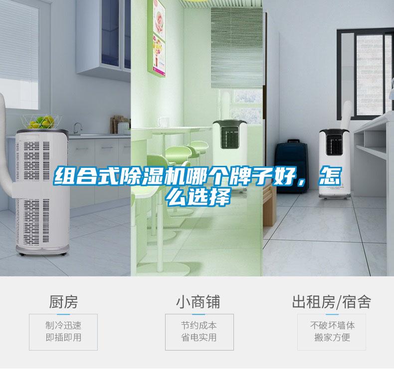 組合式除濕機(jī)哪個牌子好,怎么選擇