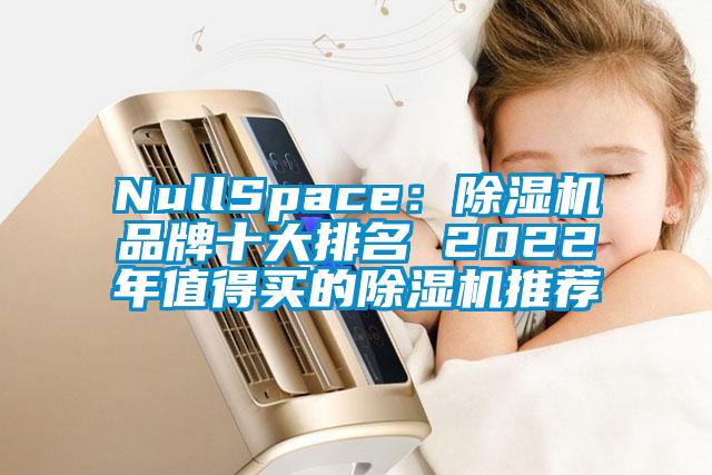 NullSpace：除濕機(jī)品牌十大排名 2022年值得買的除濕機(jī)推薦