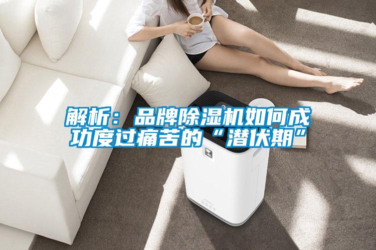 解析：品牌除濕機(jī)如何成功度過痛苦的“潛伏期”