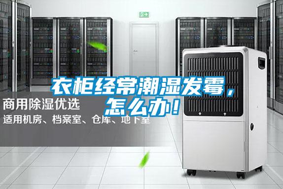 衣柜經(jīng)常潮濕發(fā)霉，怎么辦！