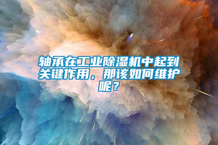 軸承在工業除濕機中起到關鍵作用，那該如何維護呢？