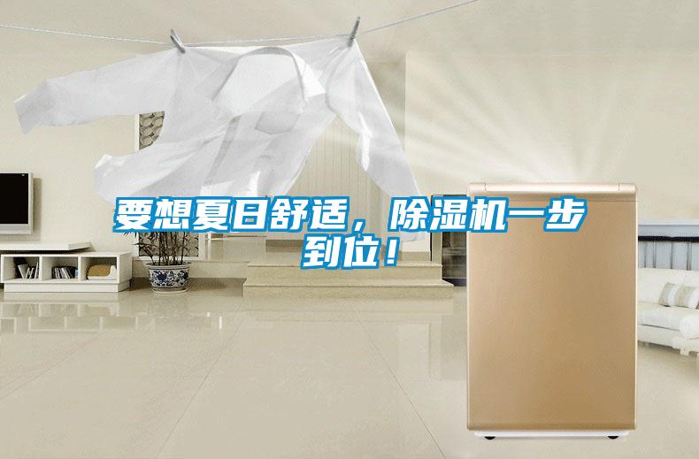 要想夏日舒適,除濕機(jī)一步到位!
