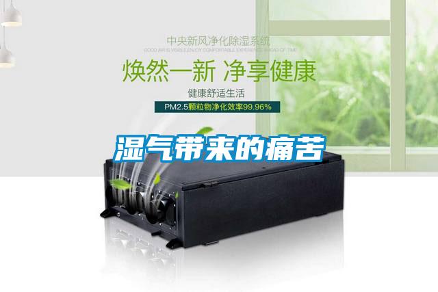 濕氣帶來(lái)的痛苦