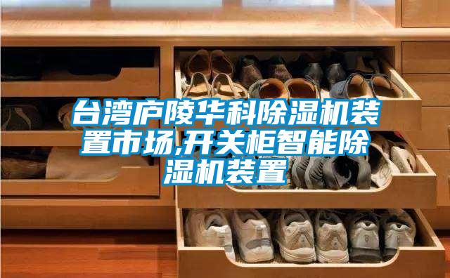 臺(tái)灣廬陵華科除濕機(jī)裝置市場,開關(guān)柜智能除濕機(jī)裝置