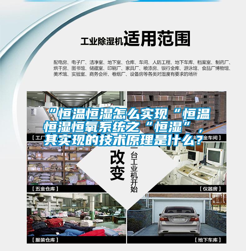 “恒溫恒濕怎么實現“恒溫恒濕恒氧系統之“恒濕”,其實現的技術原理是什么?