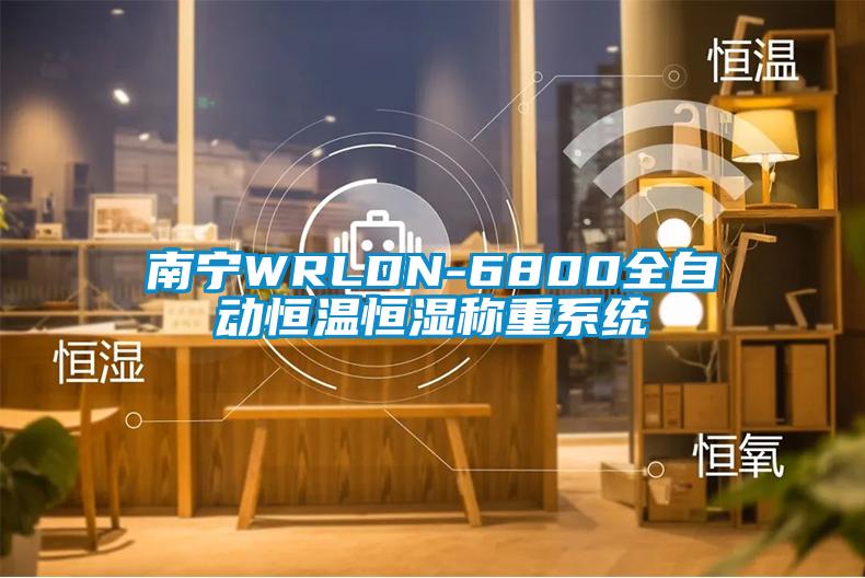 南寧WRLDN-6800全自動(dòng)恒溫恒濕稱(chēng)重系統(tǒng)