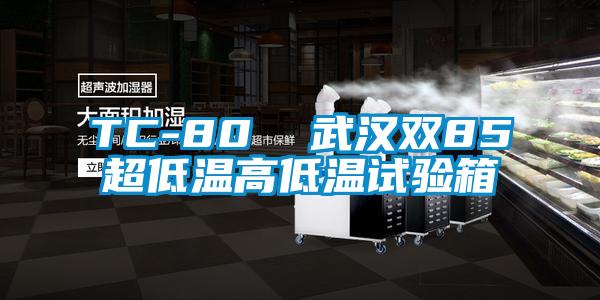 TC-80 武漢雙85超低溫高低溫試驗(yàn)箱