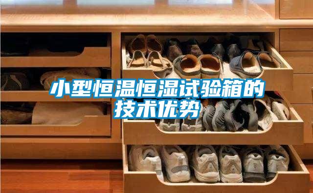 小型恒溫恒濕試驗箱的技術優勢