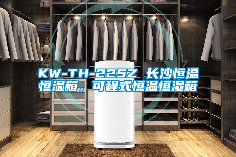 KW-TH-225Z 長(zhǎng)沙恒溫恒濕箱,可程式恒溫恒濕箱